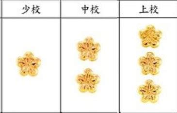 三顆梅花軍階|[光陰] 光陰小知識─國軍的軍階